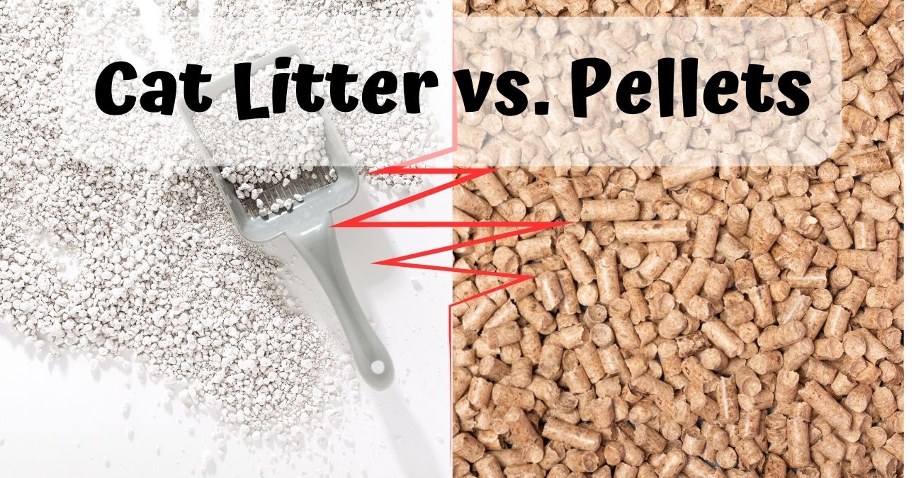 Cat litter with a scoop and cat pellets - cat litter vs. pellets