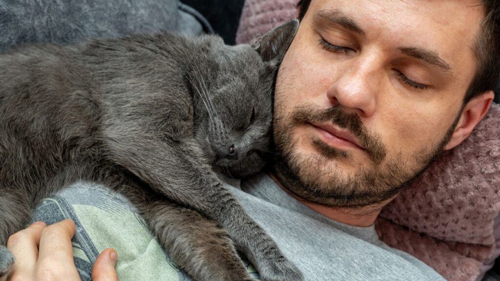 25 Signs Your Cat Loves You: How to Know Your Feline Friend Cares - Cat ...