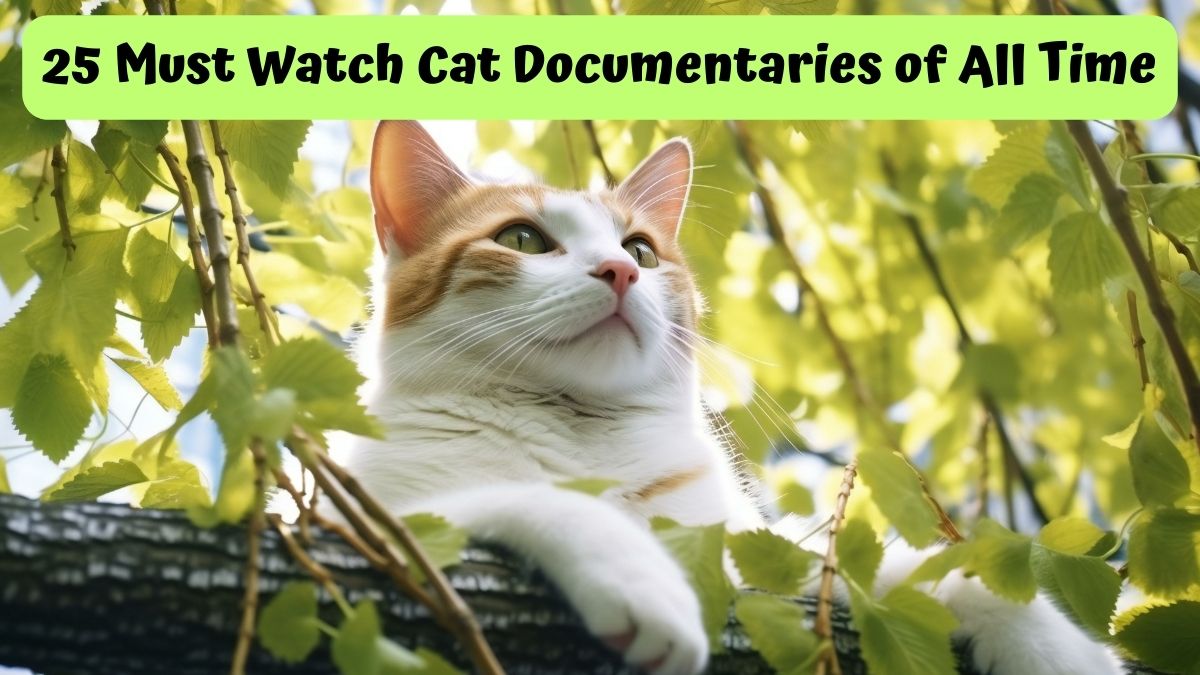 Cat in the trees looking ahead - 25 Must Watch Cat Documentaries of all time