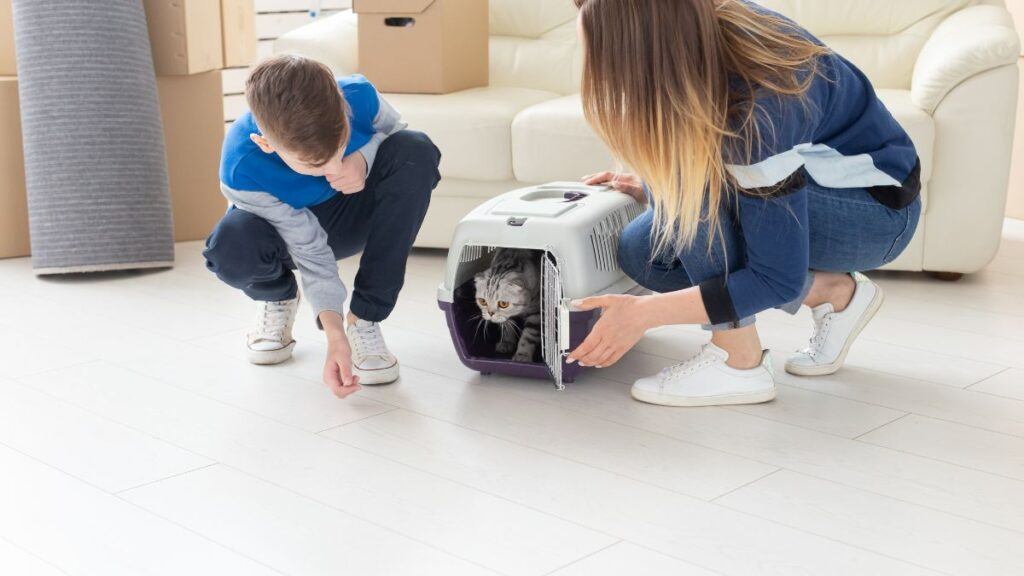 Mother and son coaxing a cat out of a travel carrier