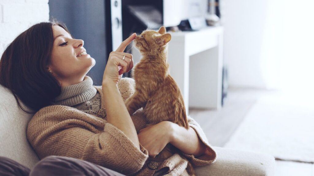 Woman Touching a Cats Nose